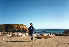 1997 - USA 011 (Entre San Francisco et Los Angeles, vers Big Sur - Route 101)
